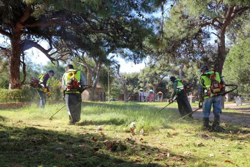 Erdemli Talat Göktepe Çamlığı Tabiat Parkı