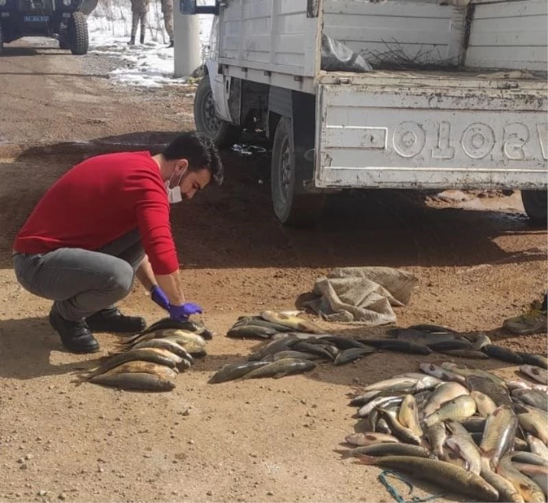 Yumurtlama dönemindeki balıkları avlayanlara 6 bin 400 TL ceza
