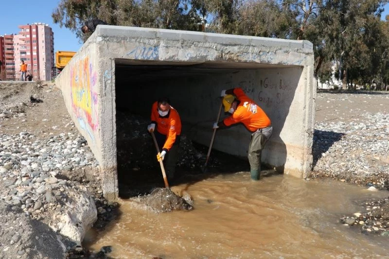 Mersin’de sivrisinek ve larvaya karşı yoğun mücadele
