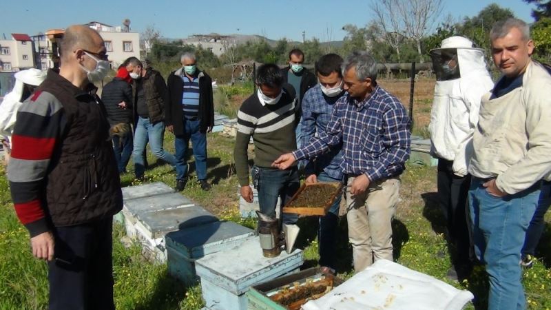 Arıcılara kış uykusundan uyanan arılarla uygulamalı eğitim
