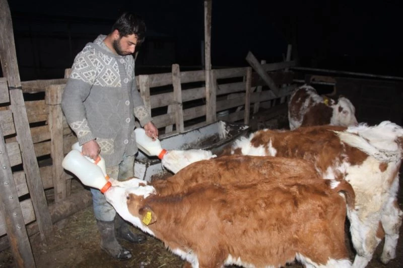 Üniversiteyi bitirip çiftçilik yaparak kendi işinin patronu oldu
