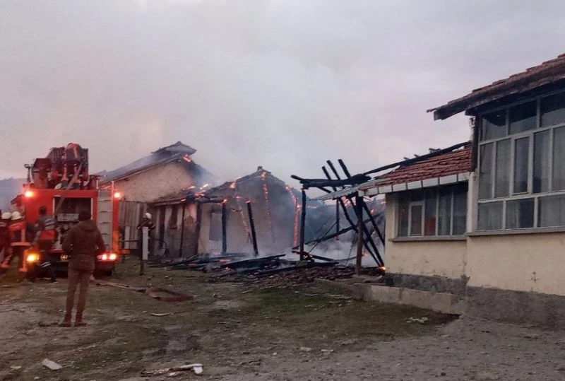 Besi damında çıkan yangın kısa sürede söndürüldü
