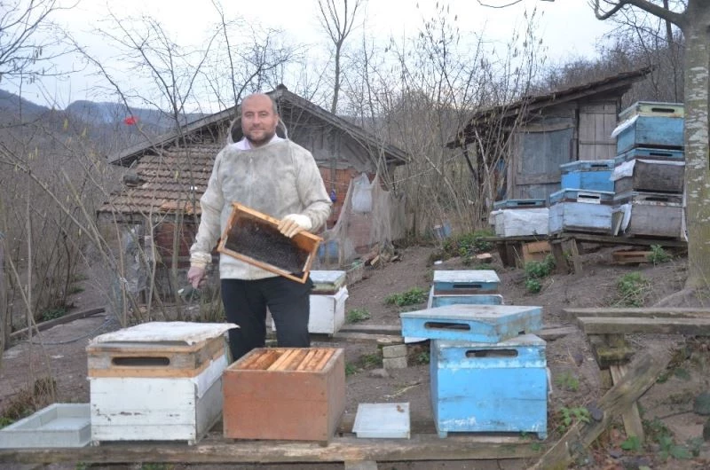 Salgın sürecinde bala talep arttı
