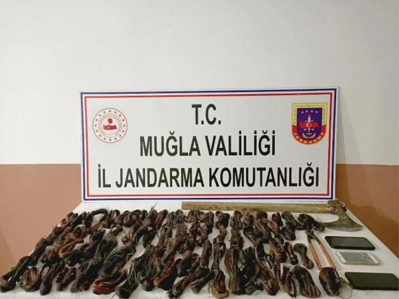 Kablo hırsızları için Seydikemer Jandarma ve JASAT günlerce iz sürdü
