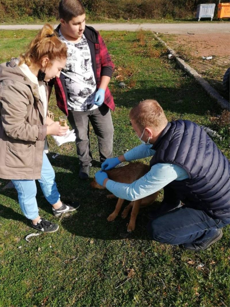 Cide’de sokak hayvanları aşılandı
