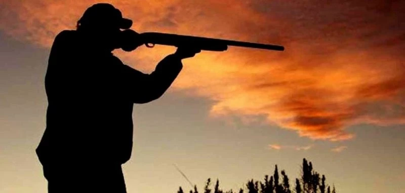 Erzincan’da 33 adet yaban domuzunu avlayan 23 kişiye idari yaptırım uygulandı
