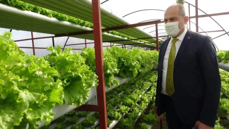 Pandemi döneminde köylere yoğun bir şekilde dönüşün olması tarıma hareketlilik getirdi
