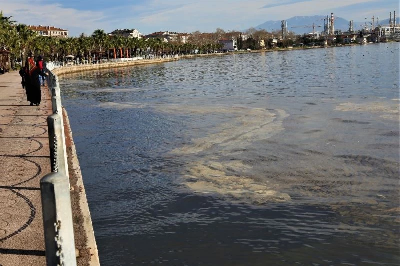 Vatandaşların kirlilik sandığı İzmit Körfezi’ndeki tabakanın sebebi bambaşka çıktı
