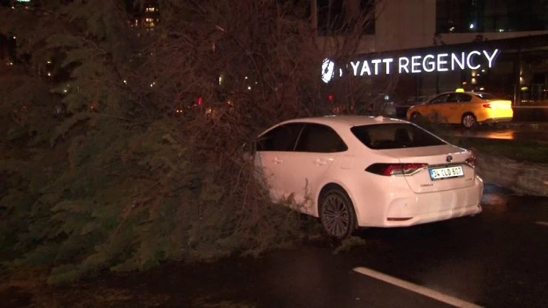 (Özel) Bakırköy’de gövdesinden kırılan ağaç seyir halindeki aracın üzerine düştü
