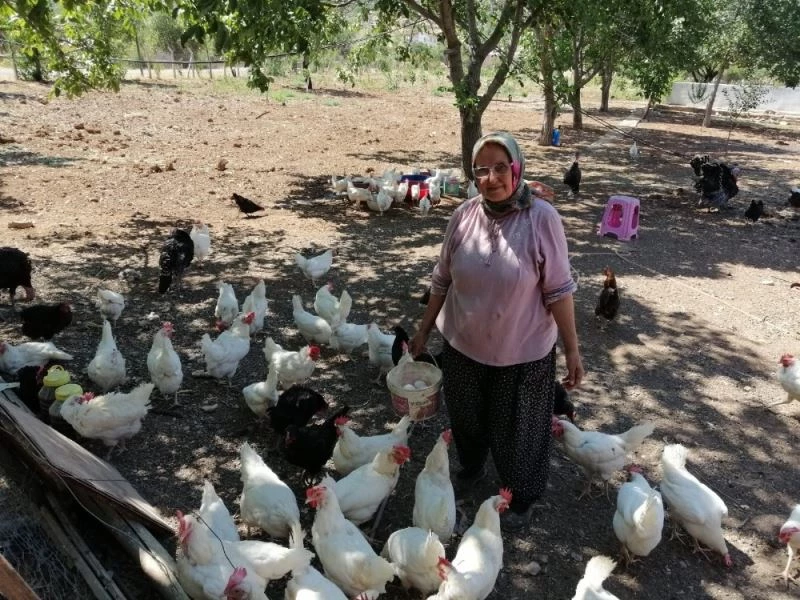 Mikrokredi kırsalda da kadınların hayatlarını değiştiriyor
