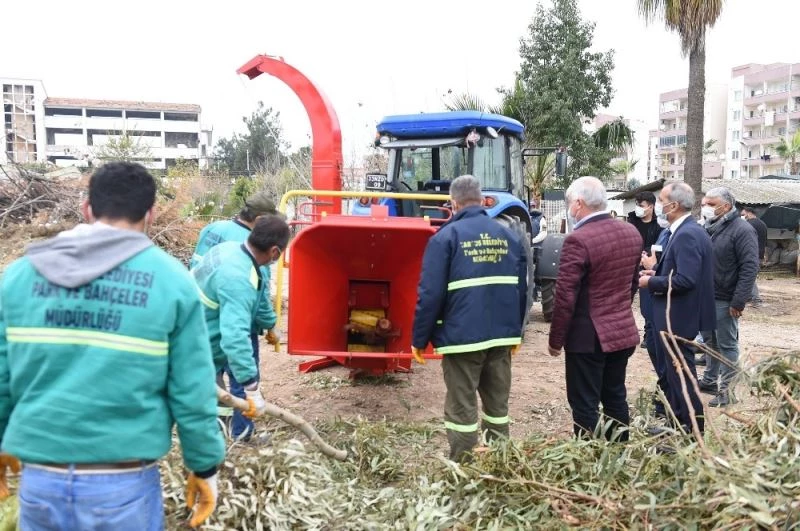 Budanan ağaçlar ve biçilen otlar doğaya gübre olarak geri dönecek
