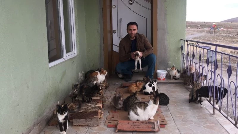 Konya’da yaklaşık 30 kedi besleyen imam: 