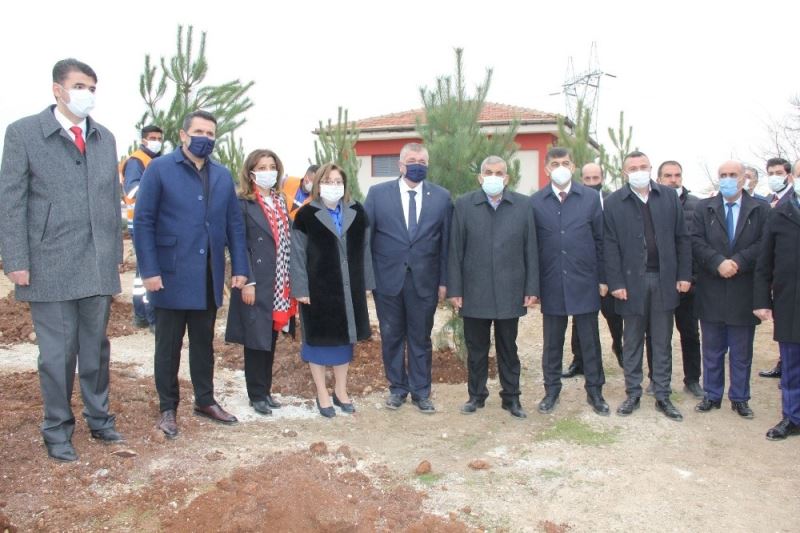 Gaziantep’te 330 adet karaçam ağacı toprakla buluştu
