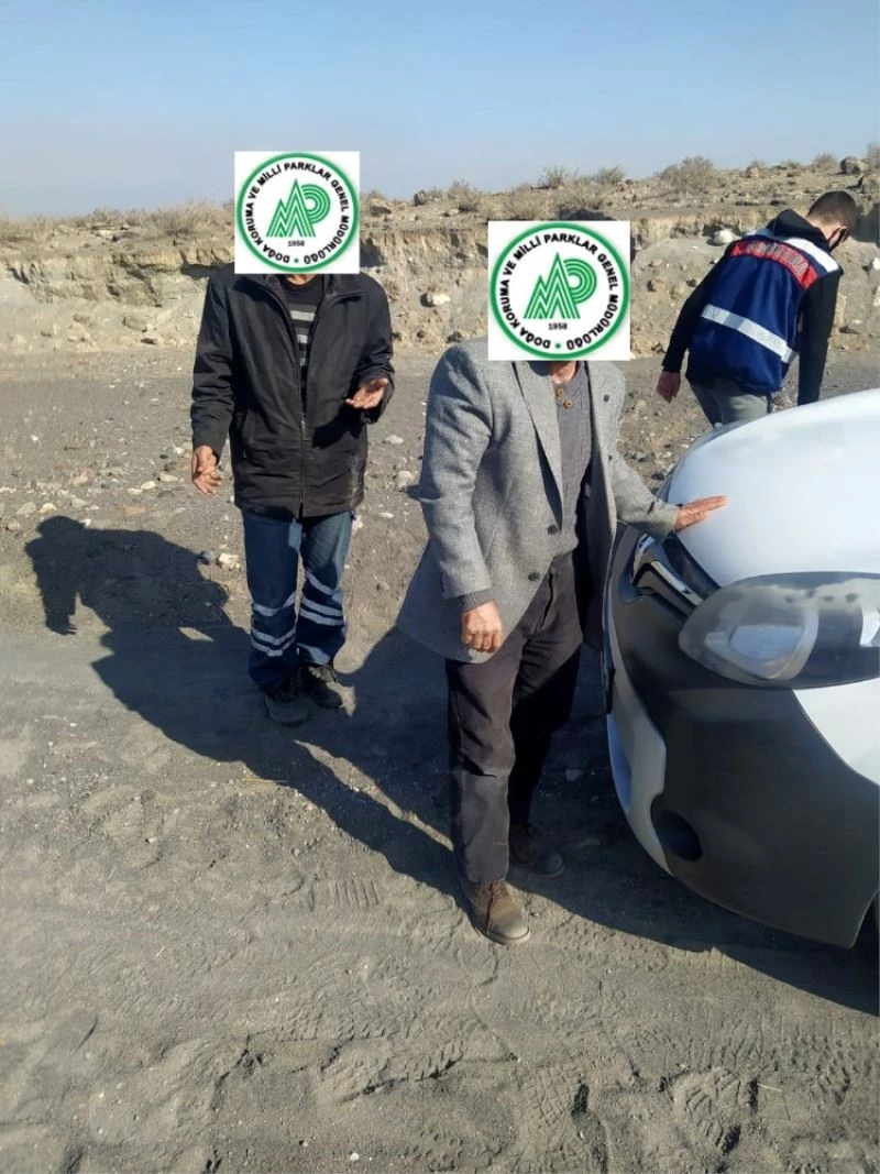 Canlı mühre ile kaçak avlanmaya 12 bin lira ceza
