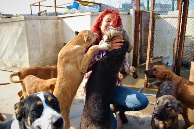 Öğretmen maaşını ve zamanını 300 dilsiz canın bakımına adadı
