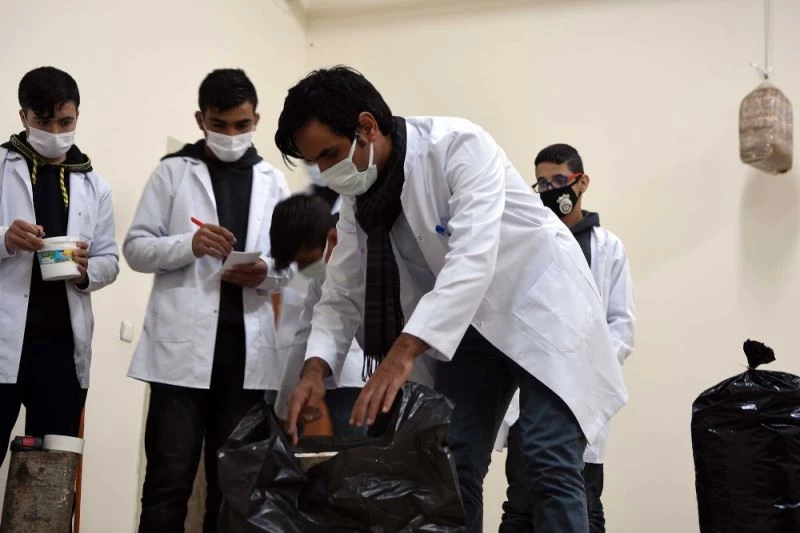 Öğrenciler okulun bodrumunda mantar yetiştiriyor
