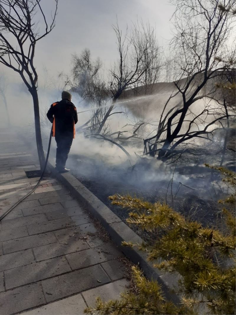 Yeşilhisar’daki yangında 10 ağaç kül oldu
