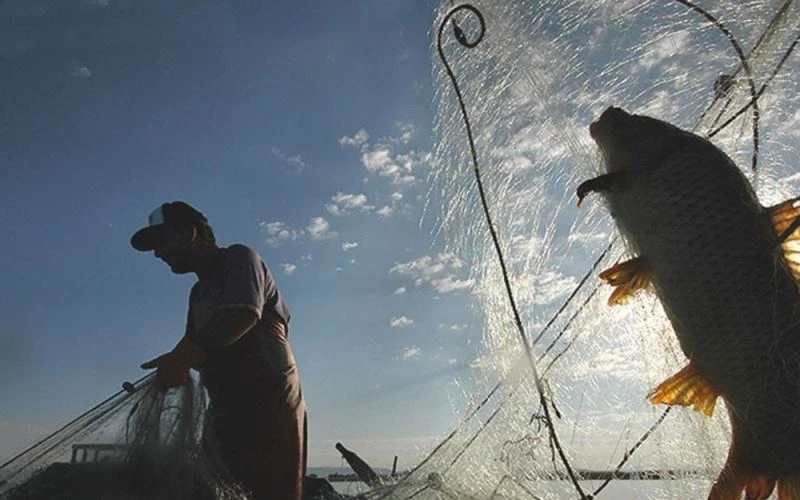 Denizli’de iç sularda balık av yasağı başladı
