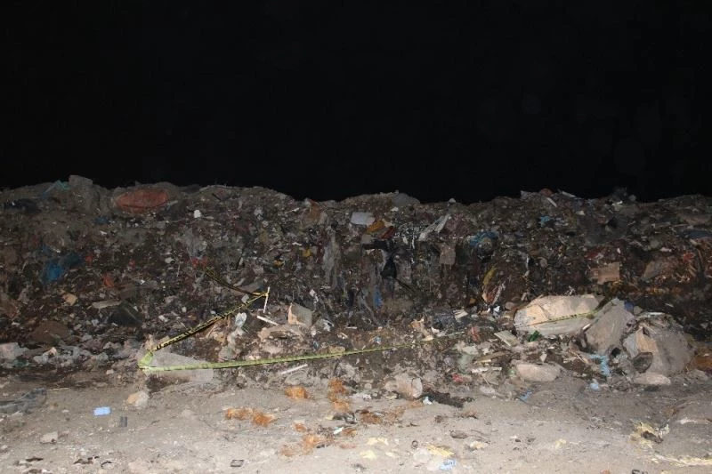 Ankara’da yakılmış köpek ölüsü bulundu
