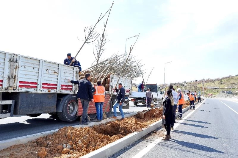 Diyarbakır’ın ilçeleri yeşilleniyor
