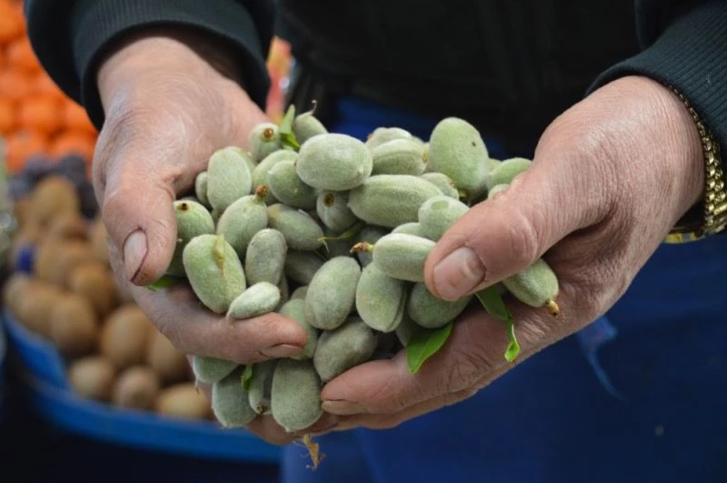 Çağla sezonu 50 TL’den açtı
