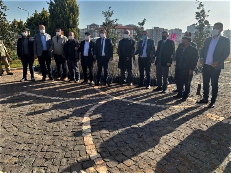 Büyükşehir’den alıç üretiminin arttırılmasına destek
