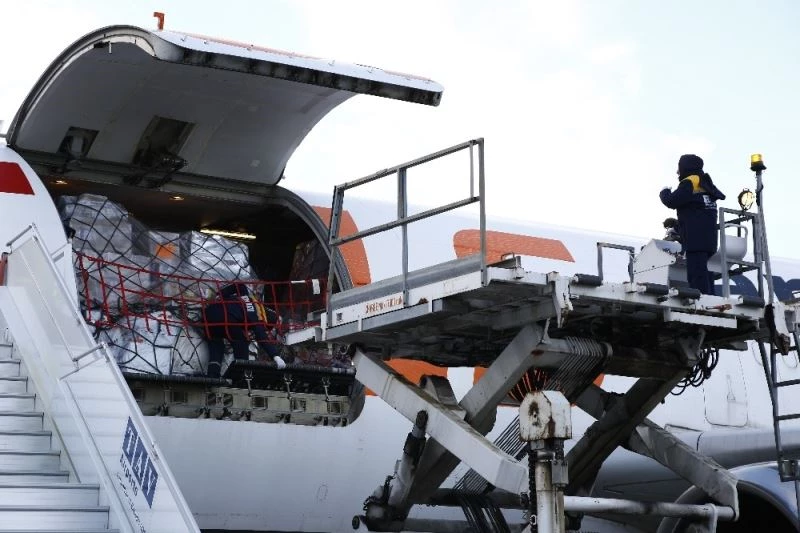 Gürcistan COVAX programından ilk aşılarını aldı
