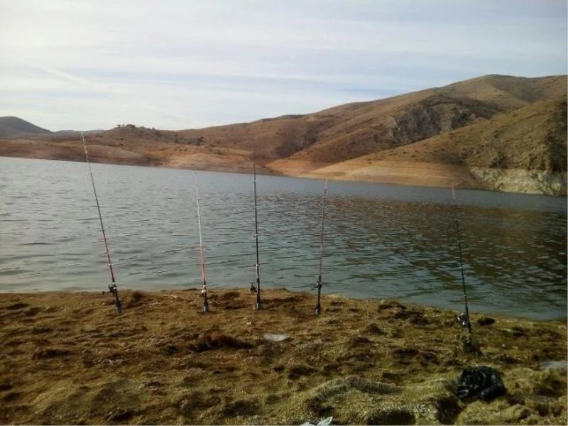 İç sularda avlanma yasağı başlıyor
