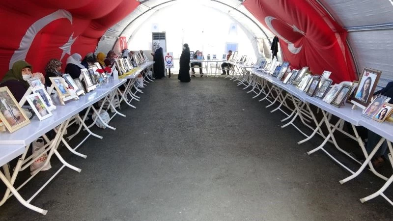 Piknik bahanesiyle kandırılıp dağa kaçırıldı
