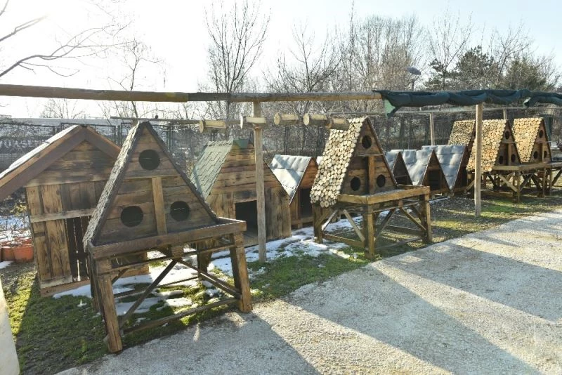 Büyükşehir’den can dostlara çevreci ahşap yuvalar
