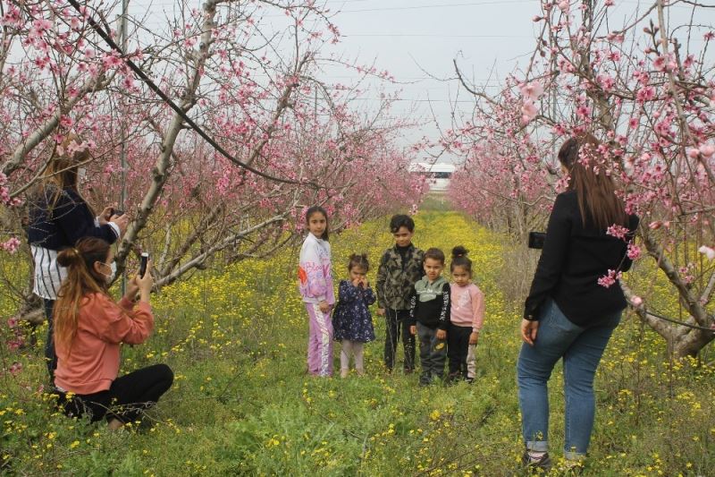 Badem ağaçları çiçek açtı vatandaşlar bahçelere akın etti
