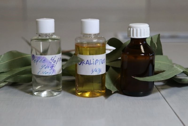 Endemik bitkiler eterik yağ ihracatını arttıracak
