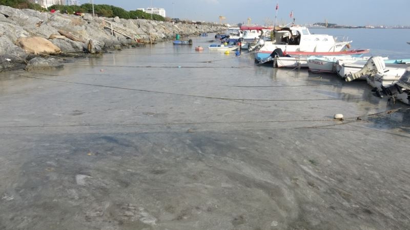 Pendik’te korkutan görüntünün gerçek nedeni belli oldu
