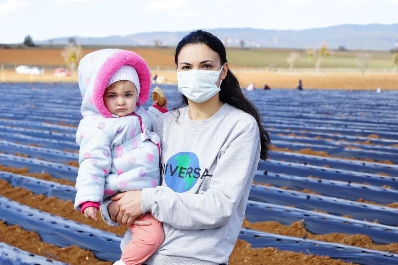 Pandemide evde oturmaktan sıkılan gelin atıl haldeki tarladan Malezya’ya çilek gönderecek
