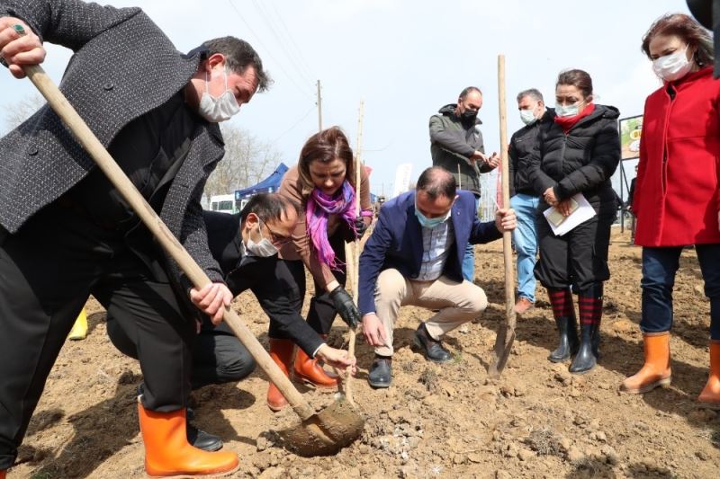 İpek böcekçiliğini başlatacak fidanlar toprakla buluştu
