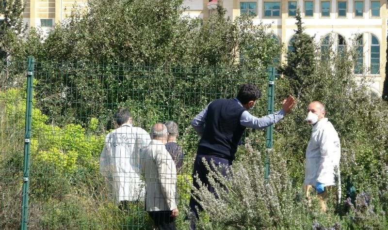 Hastane yerleşkesinde gizemli kemikler
