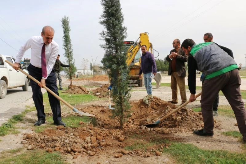 Sınırın sıfır noktasında estetik görünüm
