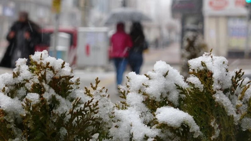 Van’da mart kapıdan baktırdı
