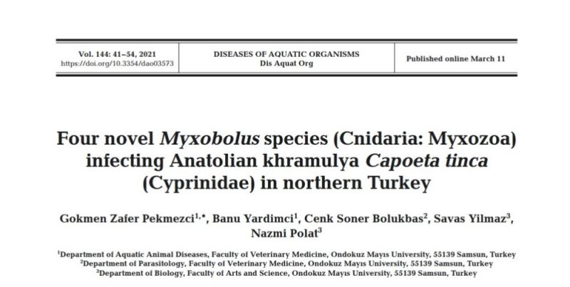 Türk akademisyenler 5 yeni parazit keşfetti
