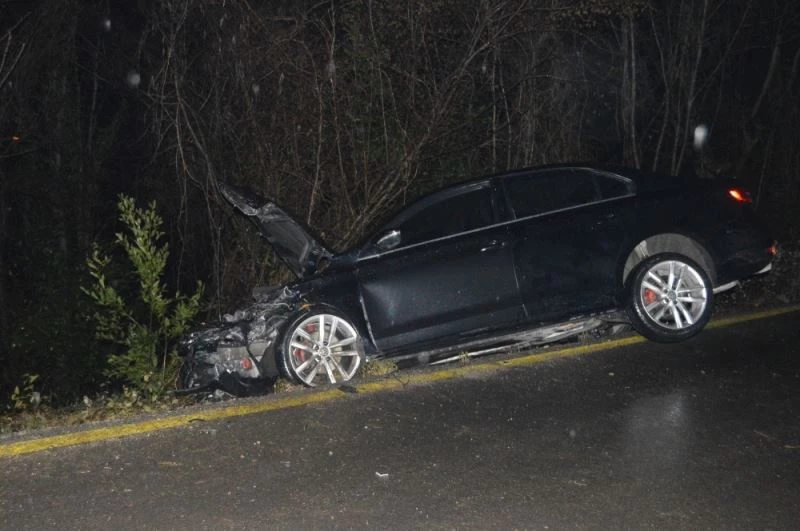 Şarampole uçan aracı ağaç dalları tutu
