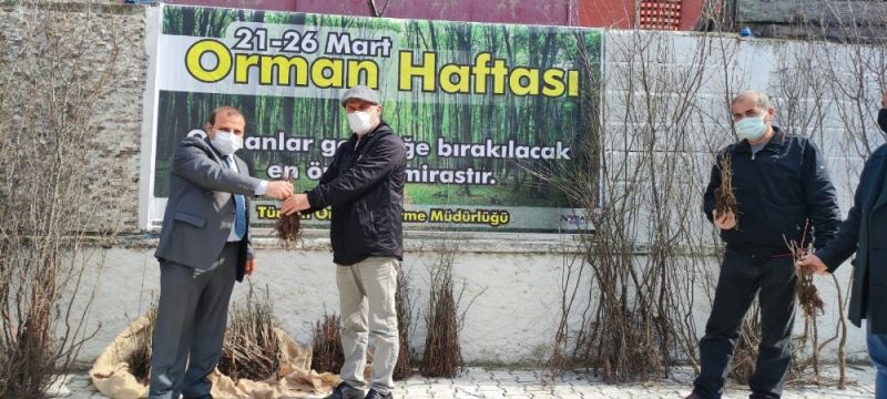 Türkeli’de vatandaşlara fidan dağıtımı yapıldı
