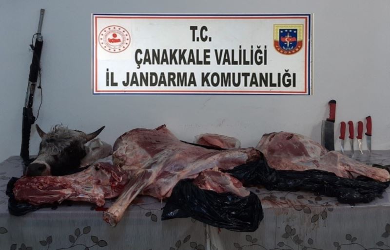 Çanakkale’de tüfekle vurdukları hayvanı çalan şahıslara suçüstü
