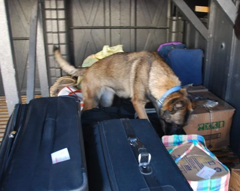 Şüpheli otobüs ve yolcular didik didik arandı
