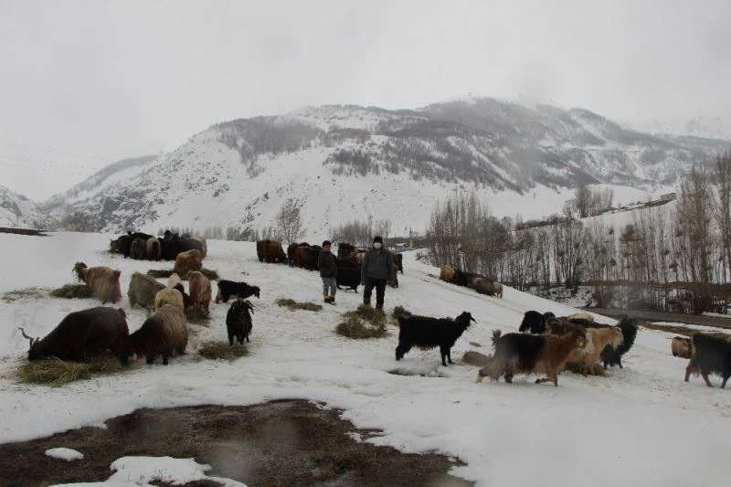 Hayvancılıkla uğraşanlar, kışın zorlu kısmını geride bıraktı

