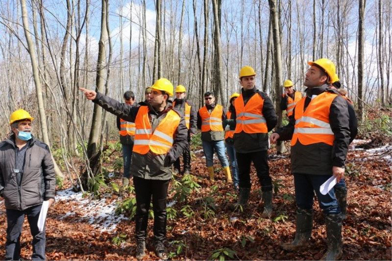 Düzce’de silvikültür uygulamaları yapıldı
