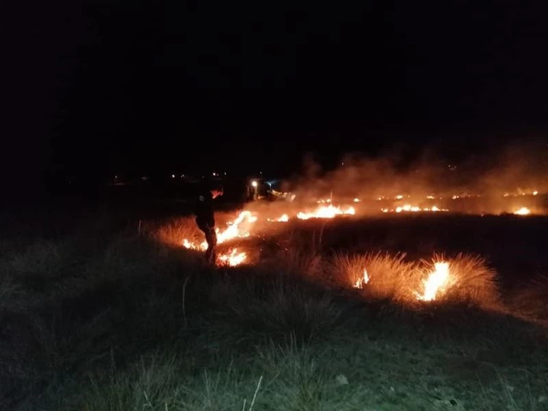Kundaklanan merada çıkan yangın söndürüldü
