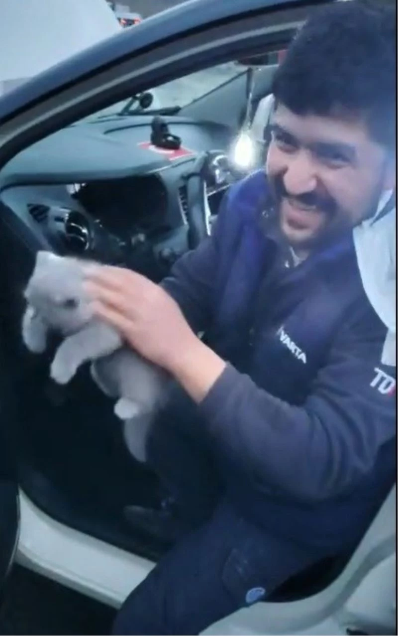 Haylaz kedi öyle bir yere girdi ki, 3 saatte kurtarılabildi
