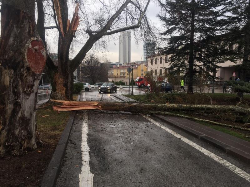 Türkiye Büyük Millet Meclisi bahçesine yıldırım düştü. Bir ağaç yıldırım düşmesi sonucu yarıldı.
