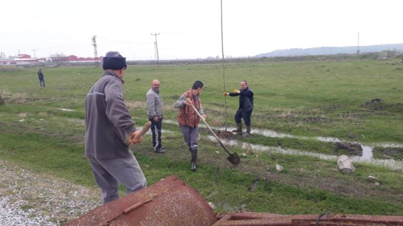 Yeniköy Mahallesi imeceyle 83 pavlonya fidanı dikti
