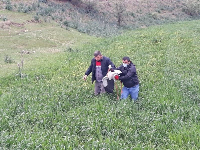 Uçamayan leylek tedavi altına alındı
